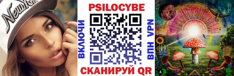Псилоцибиновые грибы Psilocybe  блэк спрут сайт  Волоколамск 
